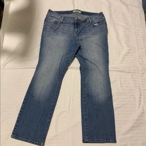 Torrid Barely Bootcut Jeans
